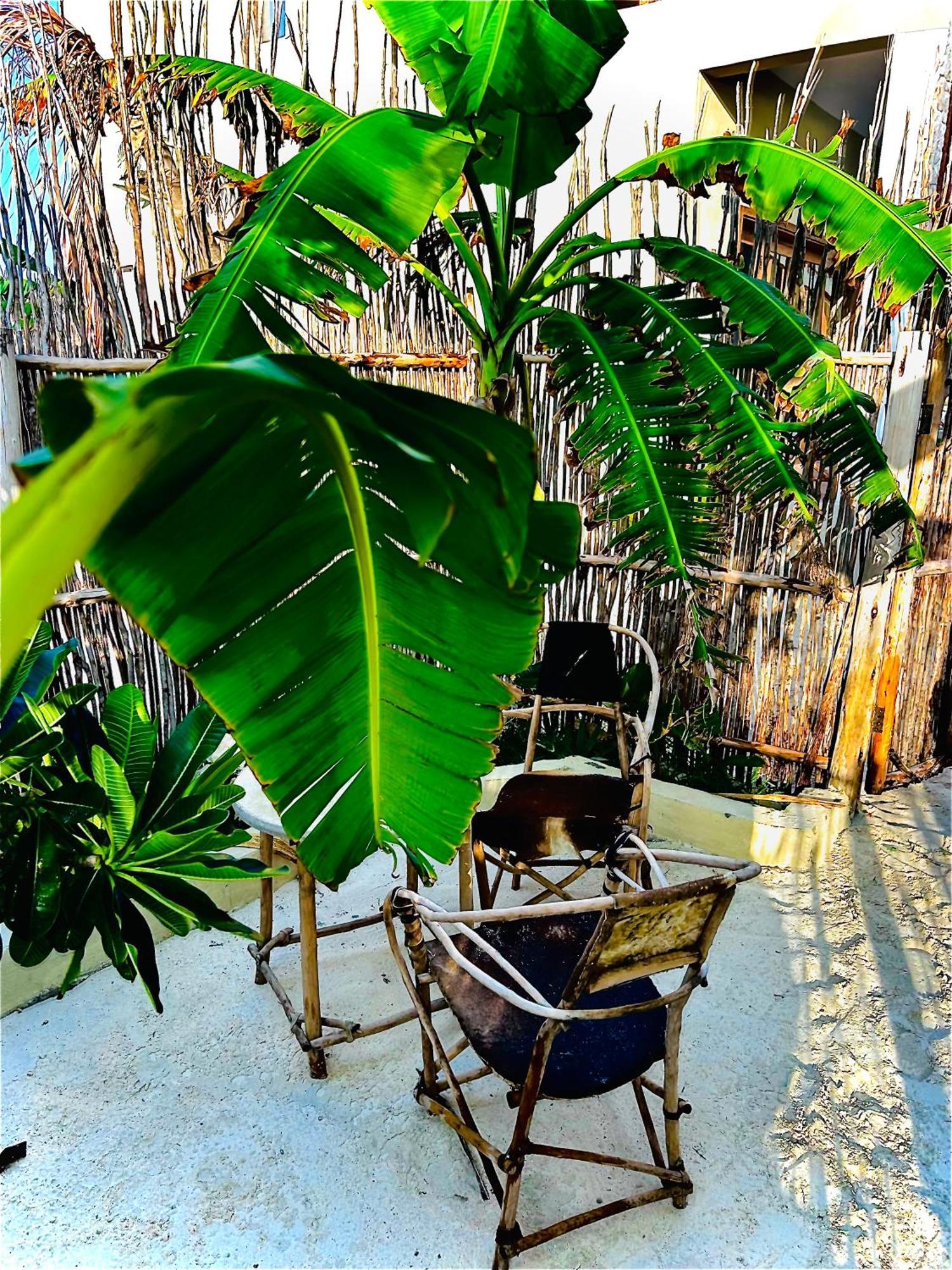 Zanzi Soul Luxury Boutique Hotel Jambiani  Ngoại thất bức ảnh